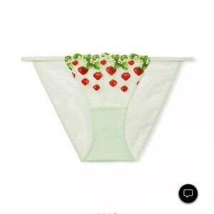 Victoria's Secret Dream Angels Strawberry Embroidery Cheekini Panty Medium NWT